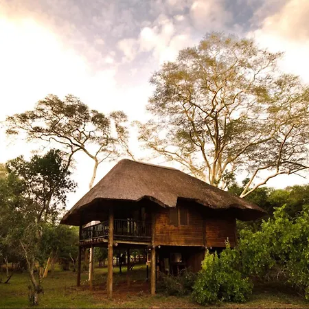 Ubizane Zululand Tree Lodge Hluhluwe Room photo