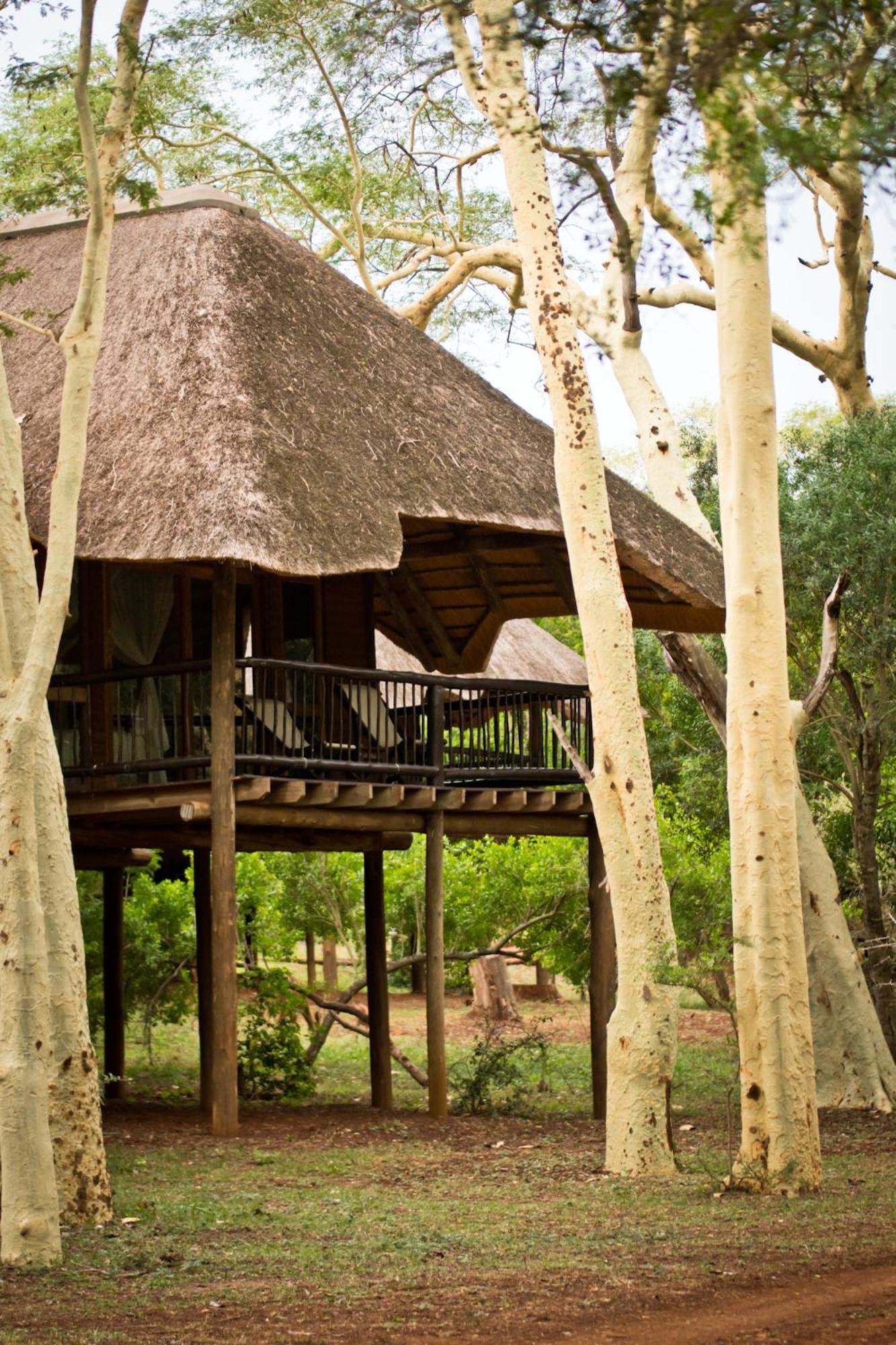 Ubizane Zululand Tree Lodge Hluhluwe