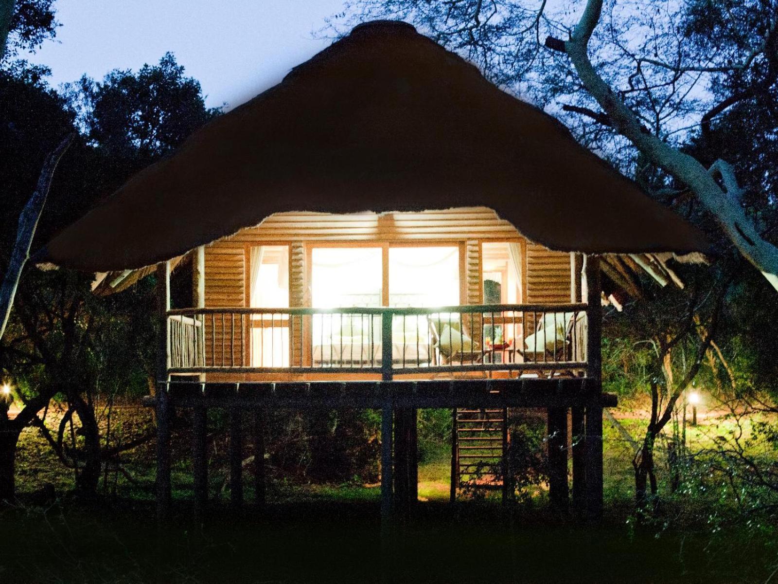 Ubizane Zululand Tree Lodge *